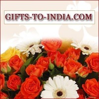 Buy Amazing Fathers Day Gifts at Low Cost  Get Same Day Delivery 